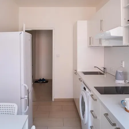 Homey Flat In Vinohrady By Days Apartment Prague